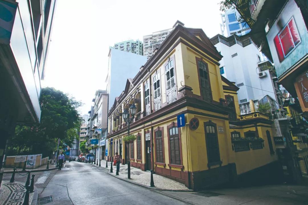 澳門三期內(nèi)必開(kāi)一肖——揭秘生肖彩票的奧秘，揭秘澳門生肖彩票三期必開(kāi)一肖的神秘面紗