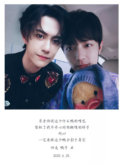 王中王一肖中特一肖精準(zhǔn)預(yù)測(cè)——揭秘生肖運(yùn)勢(shì)與未來(lái)展望，揭秘生肖運(yùn)勢(shì)預(yù)測(cè)，王中王一肖精準(zhǔn)預(yù)測(cè)未來(lái)展望