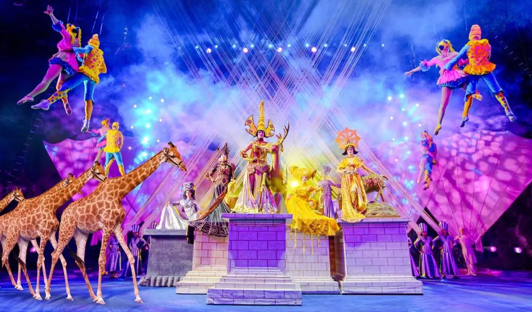 新奧門天天開將資料大全——全面解析與實用指南，新奧門天天開將資料大全，全面解析與指南