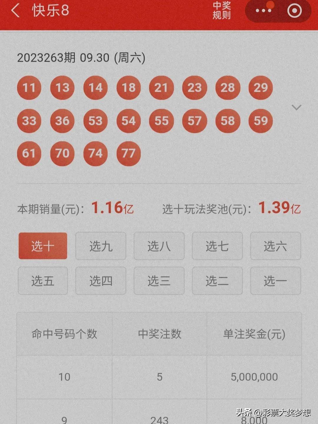 揭秘王中王四肖必中一肖中特，深度解析與SEO優(yōu)化策略，揭秘王中王四肖必中一肖中特，深度解析與SEO策略全攻略