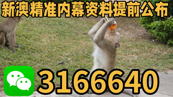 探索澳門特馬文化，四不像的獨(dú)特魅力與未來(lái)展望（關(guān)鍵詞，澳門特馬四不像），澳門特馬四不像文化深度探索，魅力、展望與未來(lái)發(fā)展