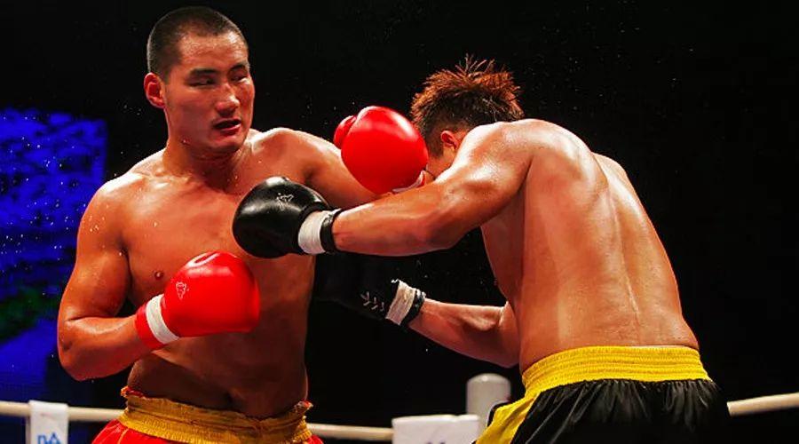 王中王85期指一生肖——深度解析與預(yù)測，王中王85期生肖深度解析與預(yù)測