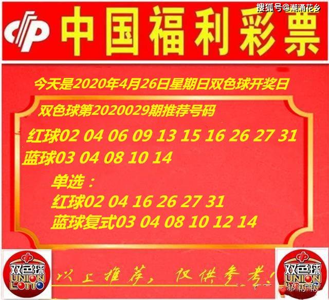 王中王029期指一生肖，揭秘生肖魅力與預(yù)測背后的秘密，揭秘生肖魅力與預(yù)測背后的秘密，王中王生肖預(yù)測第029期揭曉