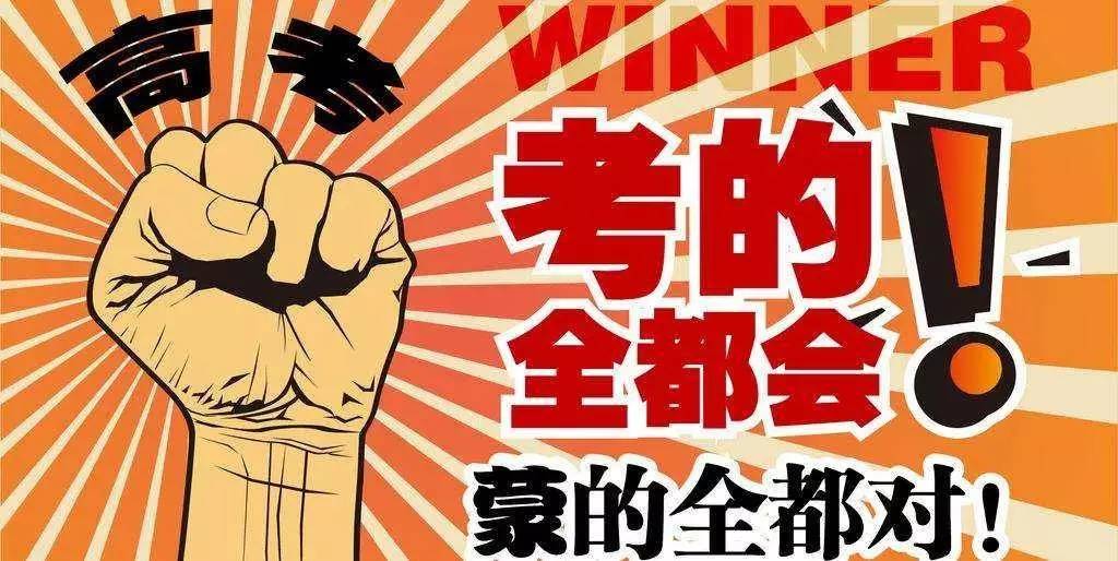 揭秘王中王與肖的不同之處，深度解析第123期，揭秘王中王與肖差異深度解析第123期，獨家對比與解讀