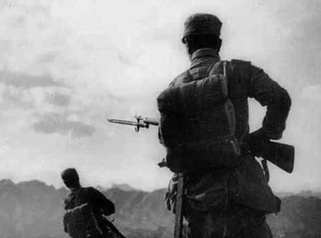 一肖中怎么賠，深度解析與策略探討，一肖中深度解析與策略探討，如何獲得賠償？