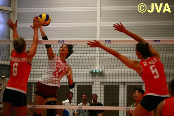 劉伯溫四肖一特，傳奇人物與神秘預(yù)言的完美結(jié)合，劉伯溫四肖一特，傳奇人物預(yù)言揭秘