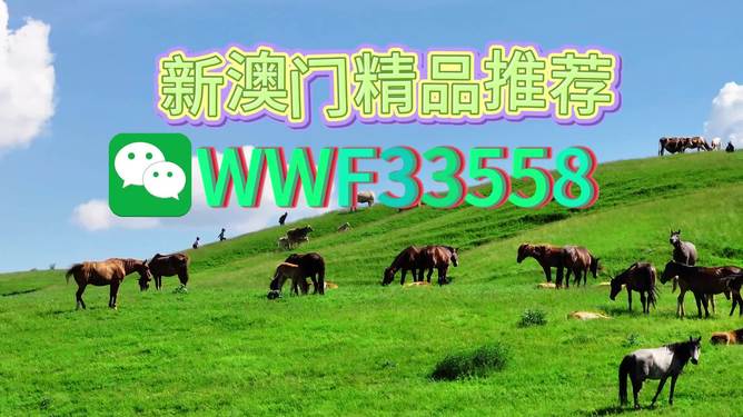 揭秘精準(zhǔn)預(yù)測(cè)一肖的秘密，解碼77777與88888的神秘?cái)?shù)字組合，揭秘精準(zhǔn)預(yù)測(cè)生肖的秘密，數(shù)字組合77777與88888的神秘解碼