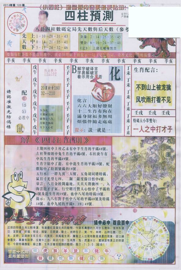 香港王中王找圖看生一肖，揭秘背后的奧秘，揭秘香港王中王找圖看生肖的奧秘