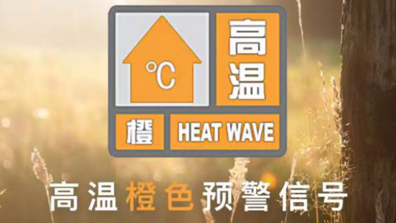 澳i門精準(zhǔn)免費(fèi)資料，探索與揭秘，澳i門精準(zhǔn)免費(fèi)資料揭秘探索之旅