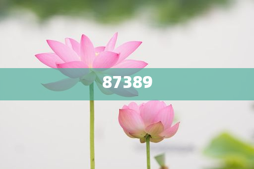 一肖包括特肖嗎