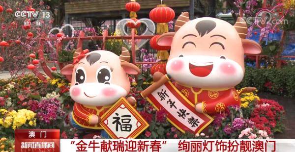 澳門金牛網(wǎng)金牛版論壇——探索與解析，澳門金牛網(wǎng)金牛版論壇，深度探索與解析