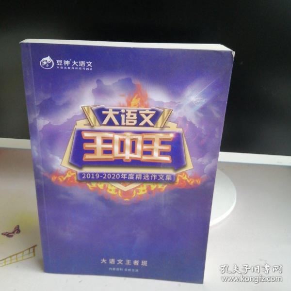 揭秘2019王中王資料一肖，傳奇背后的故事，揭秘傳奇背后的故事，王中王資料一肖探秘（2019版）