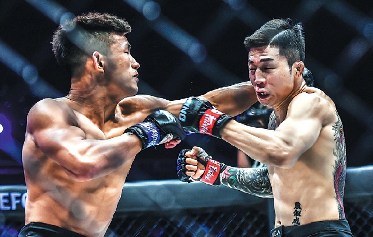 王中王07期指一生肖，深度解析與預(yù)測，王中王07期指一生肖，深度解析、預(yù)測與運勢探討