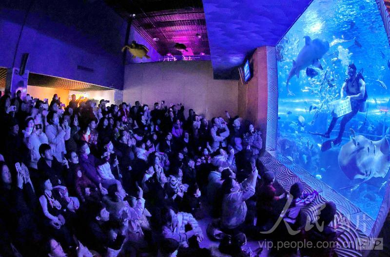 新澳2025今晚開獎(jiǎng)結(jié)果揭曉，期待與驚喜交織的時(shí)刻，新澳2025今晚開獎(jiǎng)結(jié)果揭曉，期待與驚喜的時(shí)刻來臨