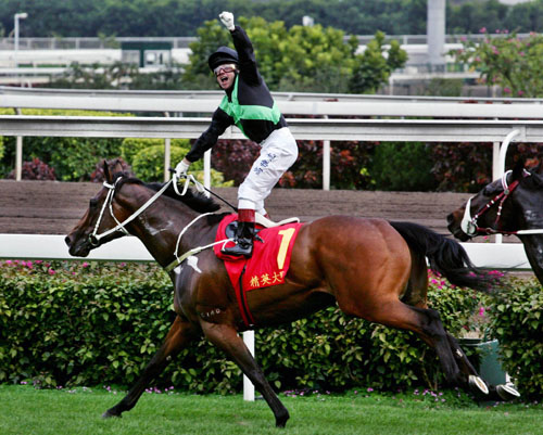 香港王中王一肖中特馬的奧秘與探索，香港王中王一肖中特馬的奧秘探索之旅