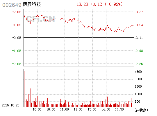 關(guān)于代碼002649的深入解析與SEO優(yōu)化策略，代碼002649深度解析與SEO優(yōu)化指南