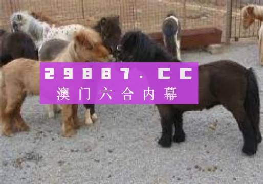 王中王馬會平特一肖論壇，深度探討與SEO優(yōu)化策略，王中王馬會平特一肖論壇，深度探討SEO優(yōu)化策略