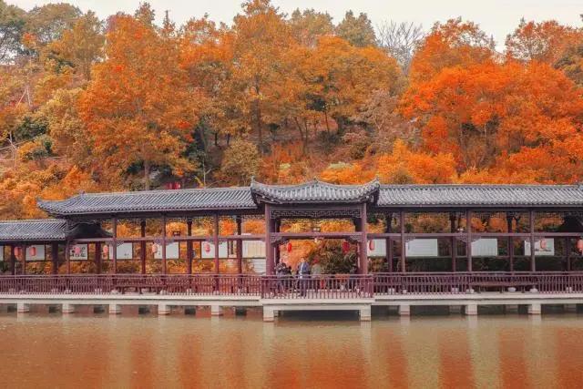 寧波旅游景點(diǎn)一日游哪里最好玩？精選一日游攻略，寧波最佳一日游景點(diǎn)攻略，必玩景點(diǎn)推薦