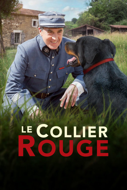 揭秘劉伯溫預(yù)言中的四不像必出一肖，劉伯溫預(yù)言揭秘，四不像預(yù)示必出一生肖