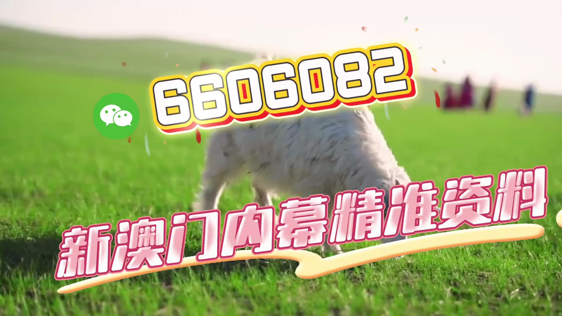 澳門一碼一肖，揭秘預(yù)測準(zhǔn)確性的真相，澳門一碼一肖預(yù)測真相揭秘