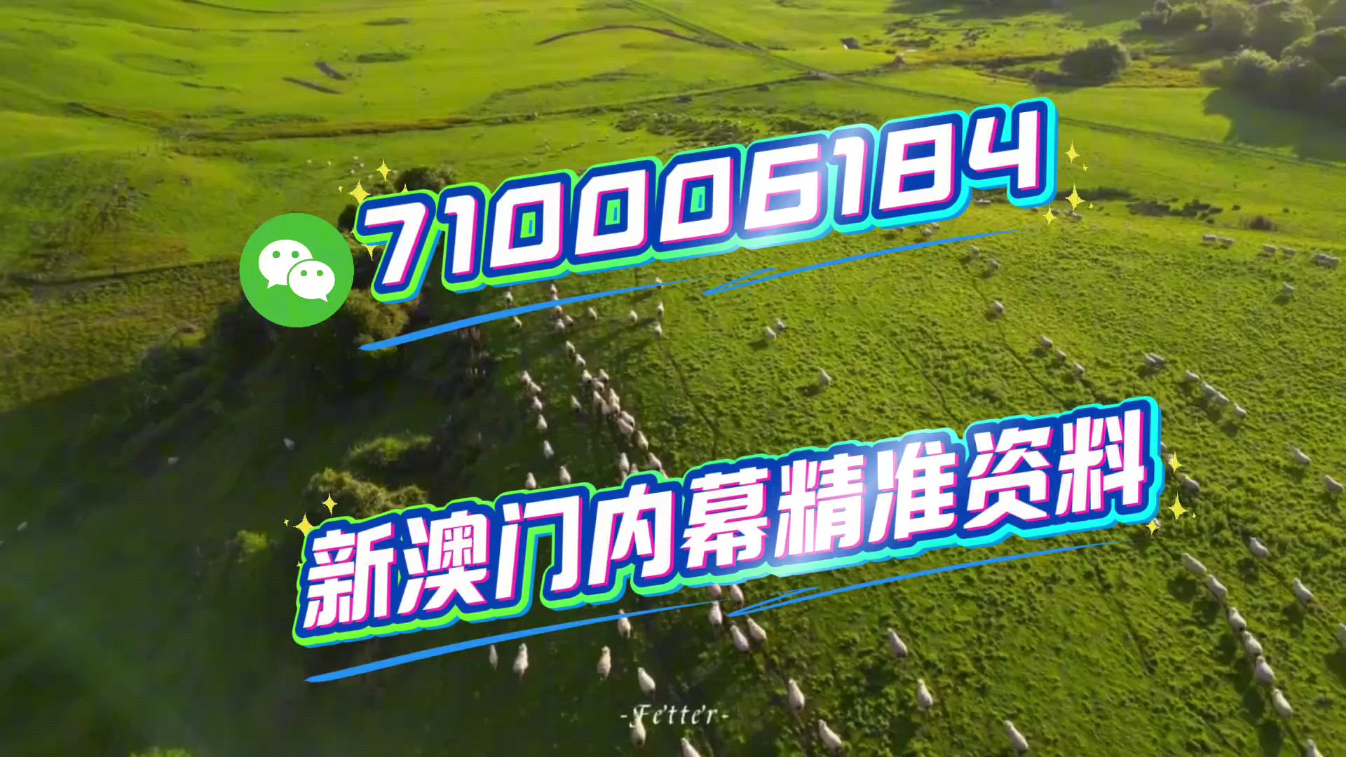 關(guān)于澳門特馬今晚開碼與未來的展望（2023年視角），澳門特馬未來展望，今晚開碼與未來趨勢分析（2023年視角）