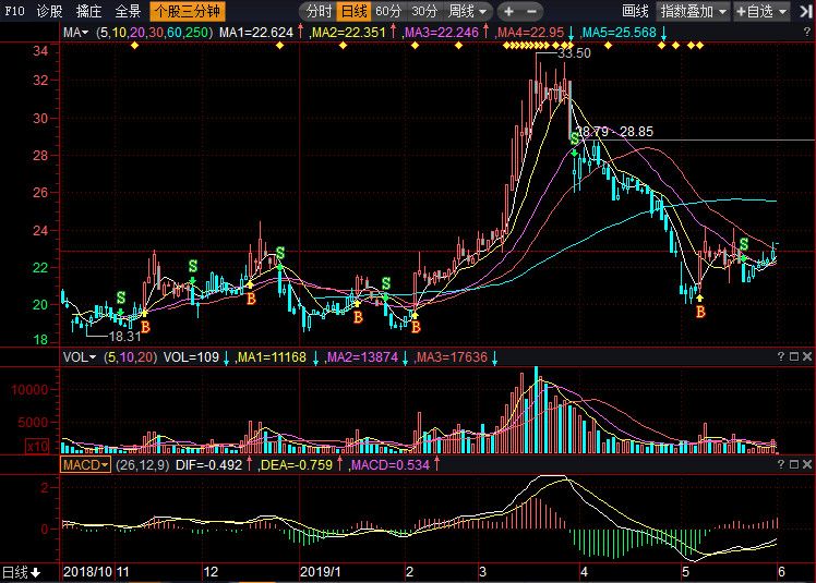探索002883股吧，投資者的樂園與信息中心，探索投資者樂園，股吧002883信息中心