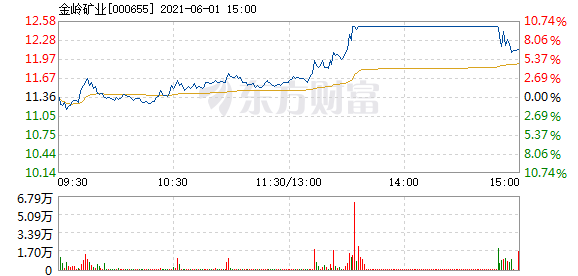 金嶺礦業(yè)股票，投資潛力與前景展望，金嶺礦業(yè)股票投資潛力與前景展望分析