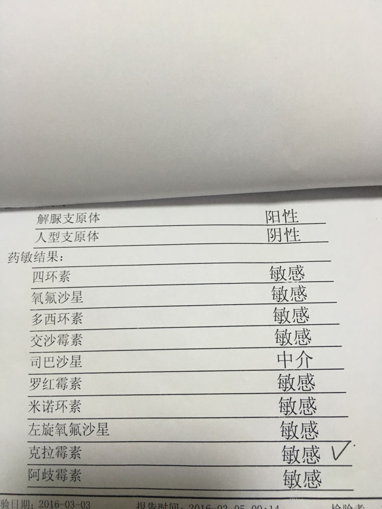 支原體陽性轉(zhuǎn)陰的時間，了解與應(yīng)對，支原體陽性轉(zhuǎn)陰的時間及應(yīng)對策略