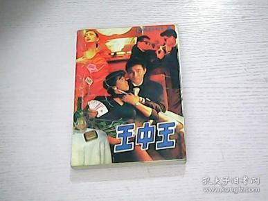 王中王平特一肖，深度解析與探索，王中王平特一肖深度解析與探索心得