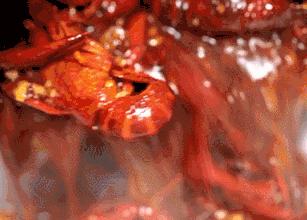 今日新聞頭條，最新消息一覽，今日新聞頭條，最新消息一覽無余