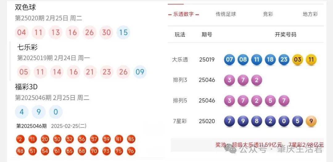 香港今晚開獎結(jié)果號碼是多少——揭秘彩票背后的秘密，揭秘彩票背后的秘密，香港今晚開獎結(jié)果號碼揭曉