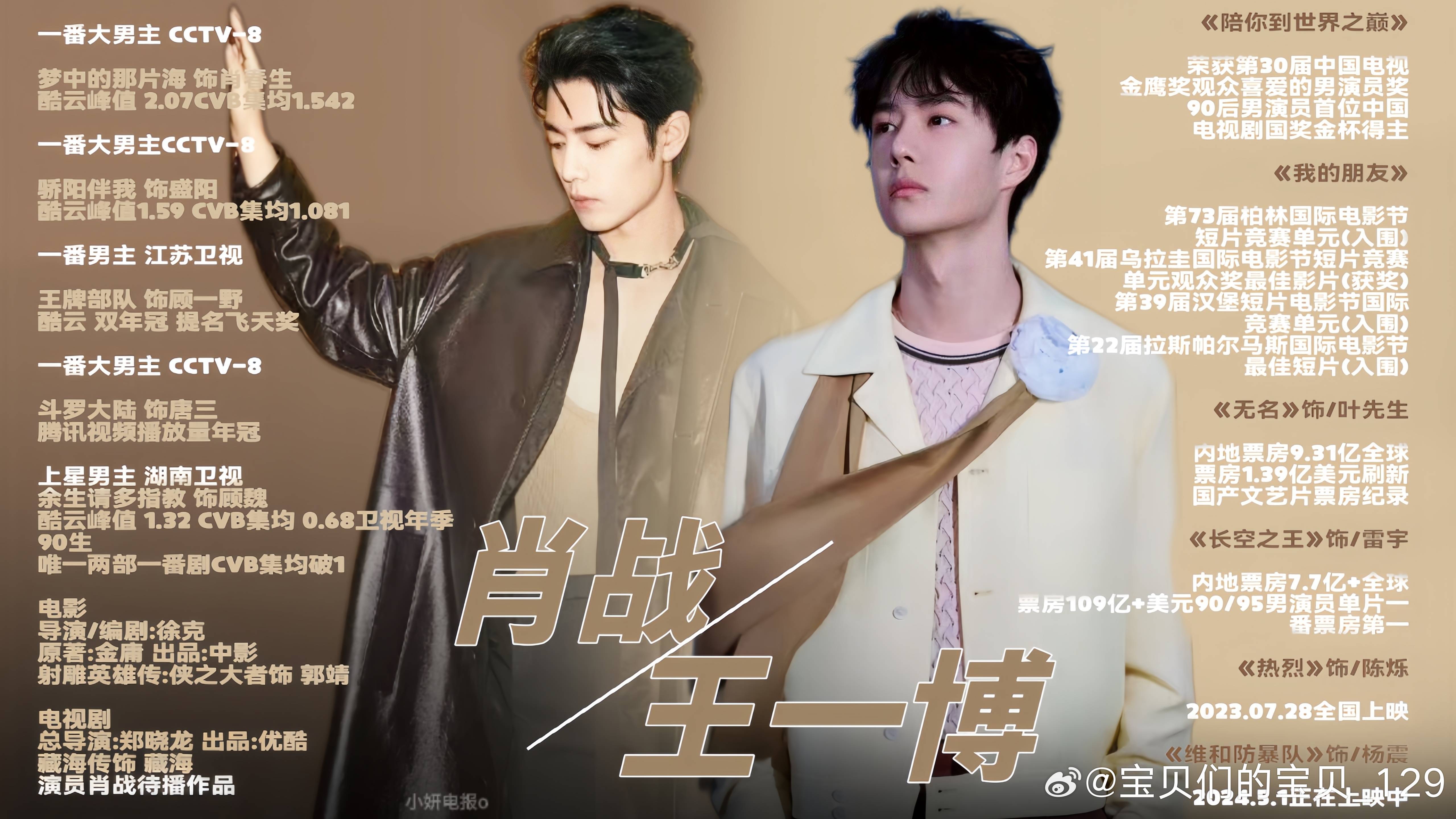 王中王一肖中特資料詳解，王中王一肖中特資料深度解析