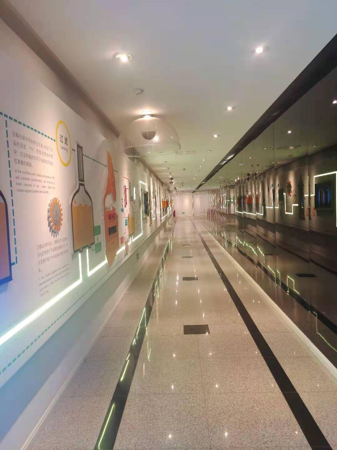 澳門一碼一肖一待一中四不像——揭開神秘面紗下的真相，澳門神秘事件揭秘，一碼一肖一待一中四不像真相探索