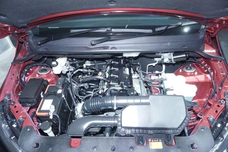 王中王四肖選一肖期期誰，揭秘彩票背后的秘密，揭秘彩票背后的秘密，王中王四肖選一肖期期的真相