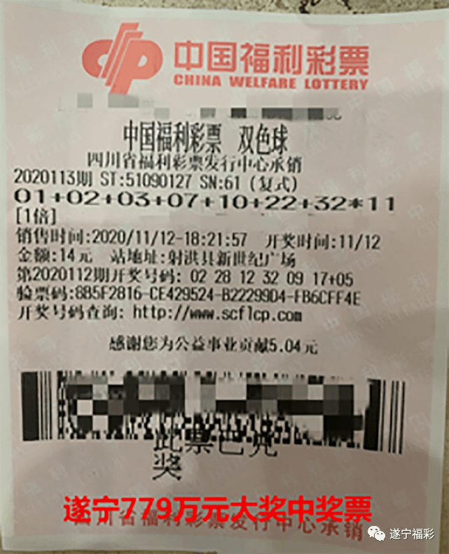 王中王遂寧平臺(tái)一肖中特，深度解析與SEO優(yōu)化策略，王中王遂寧平臺(tái)一肖中特深度解析與SEO優(yōu)化策略探討