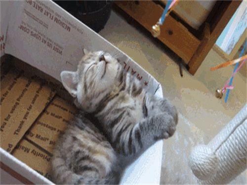 掌握這些方法，輕松實現(xiàn)30秒快速入睡，掌握這些方法，輕松實現(xiàn)秒睡入睡秘籍