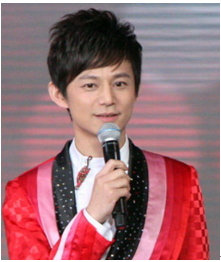 何炅的媳婦的照片，探索背后的真相與隱私邊界，何炅媳婦照片背后的真相與隱私邊界探索