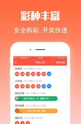 王中王三肖選一，深度解析與SEO優(yōu)化策略，王中王三肖選深度解析與SEO優(yōu)化策略指南