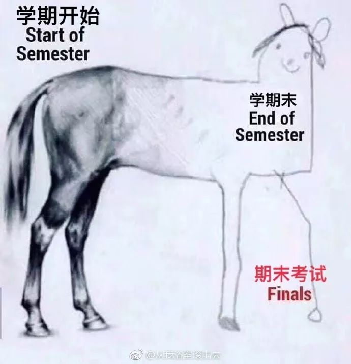 四不像一肖圖王中王