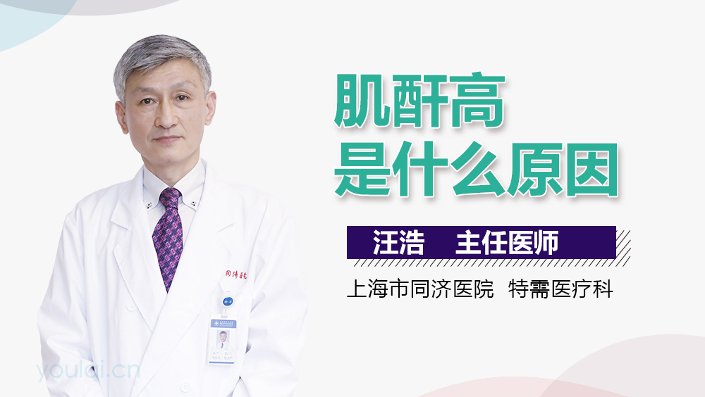 肌酐高是什么原因？深入了解背后的因素，肌酐高背后的原因，深入了解與解析