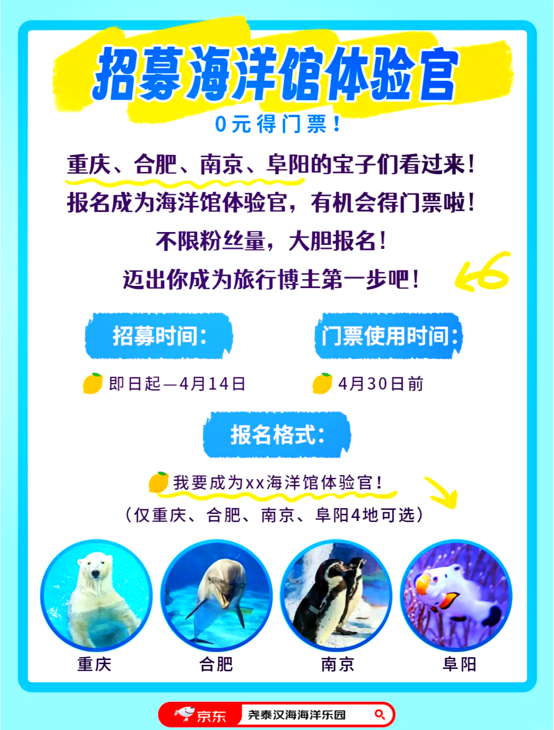 海底世界之旅，預(yù)約門票攻略及體驗指南，海底世界之旅，預(yù)約門票攻略與體驗指南全解析