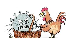 揭秘H7N9病毒，了解它的起源、特性與影響，H7N9病毒揭秘，起源、特性與影響全解析