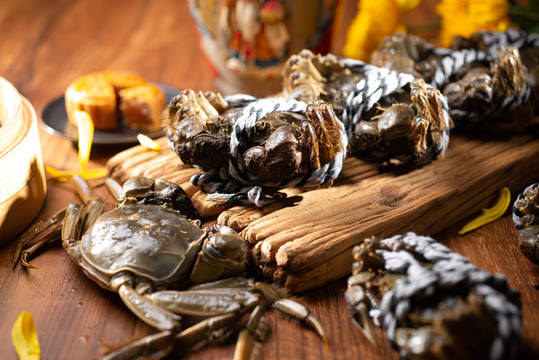 陽澄湖大閘蟹，美味與SEO的完美結(jié)合，陽澄湖大閘蟹，美味與SEO的交融之道