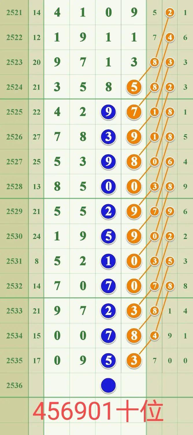 揭秘029期王中王平特一肖的神秘面紗，揭秘王中王平特一肖的神秘面紗