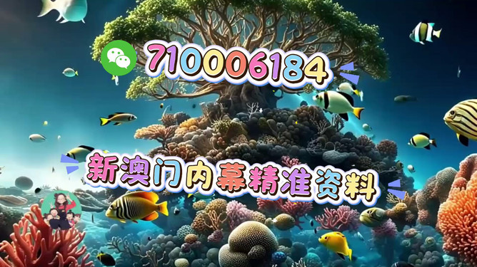 澳門(mén)正版生肖圖，探索未來(lái)的精準(zhǔn)預(yù)測(cè)與生肖運(yùn)勢(shì)展望（2025年），澳門(mén)正版生肖圖揭秘，未來(lái)生肖運(yùn)勢(shì)展望與精準(zhǔn)預(yù)測(cè)（2025年）