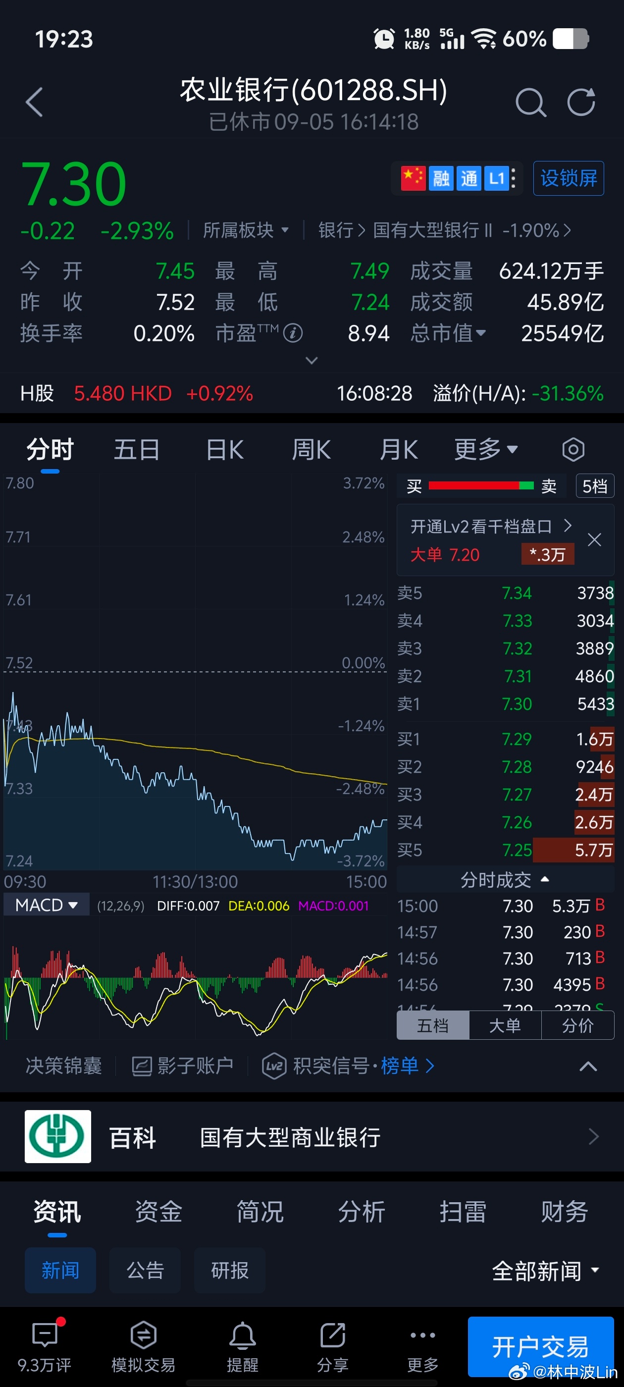 中國農業(yè)銀行股票，投資前景、市場分析與策略建議，中國農業(yè)銀行股票投資指南，前景、市場分析與策略建議