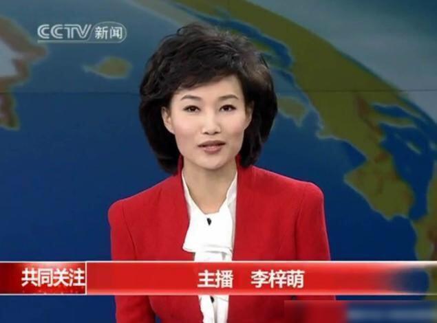 韓國新聞主持人，閃耀的媒體之星，韓國新聞主持人，媒體界的璀璨明星