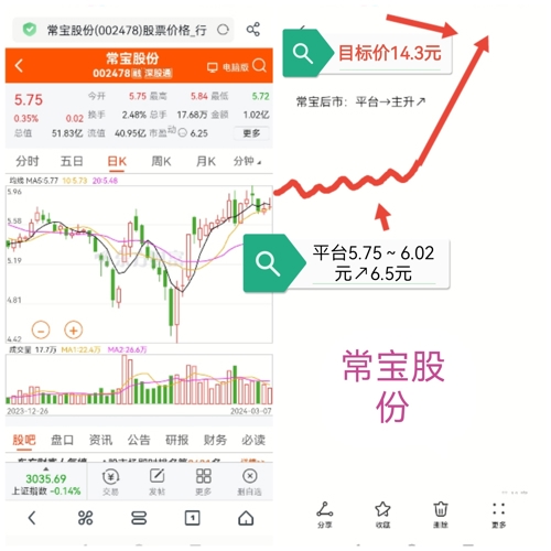 常寶股份，探究與解析，常寶股份深度探究與解析