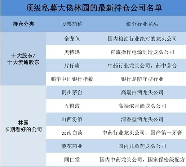 林園最新前十大重倉股票，深度解析與前景展望，林園前十大重倉股票深度解析及前景展望