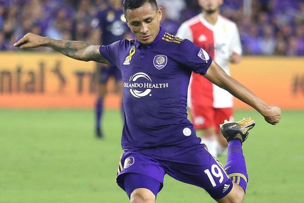 管家婆必中一肖圖正版，揭秘彩票背后的秘密與策略，揭秘彩票背后的秘密與策略，管家婆必中一肖圖正版分析